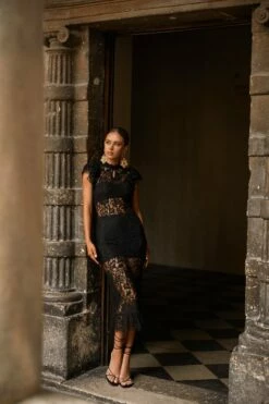 Francine Dress 12 Francine Dress -Alamour The Label Shop 48 1536ea17 438b 4543 b7d7 7b9f21047e0f