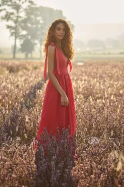 Cellina Maxi Dress -Alamour The Label Shop 7 96f2dbf6 2731 405f ab3d 33682fa3976d