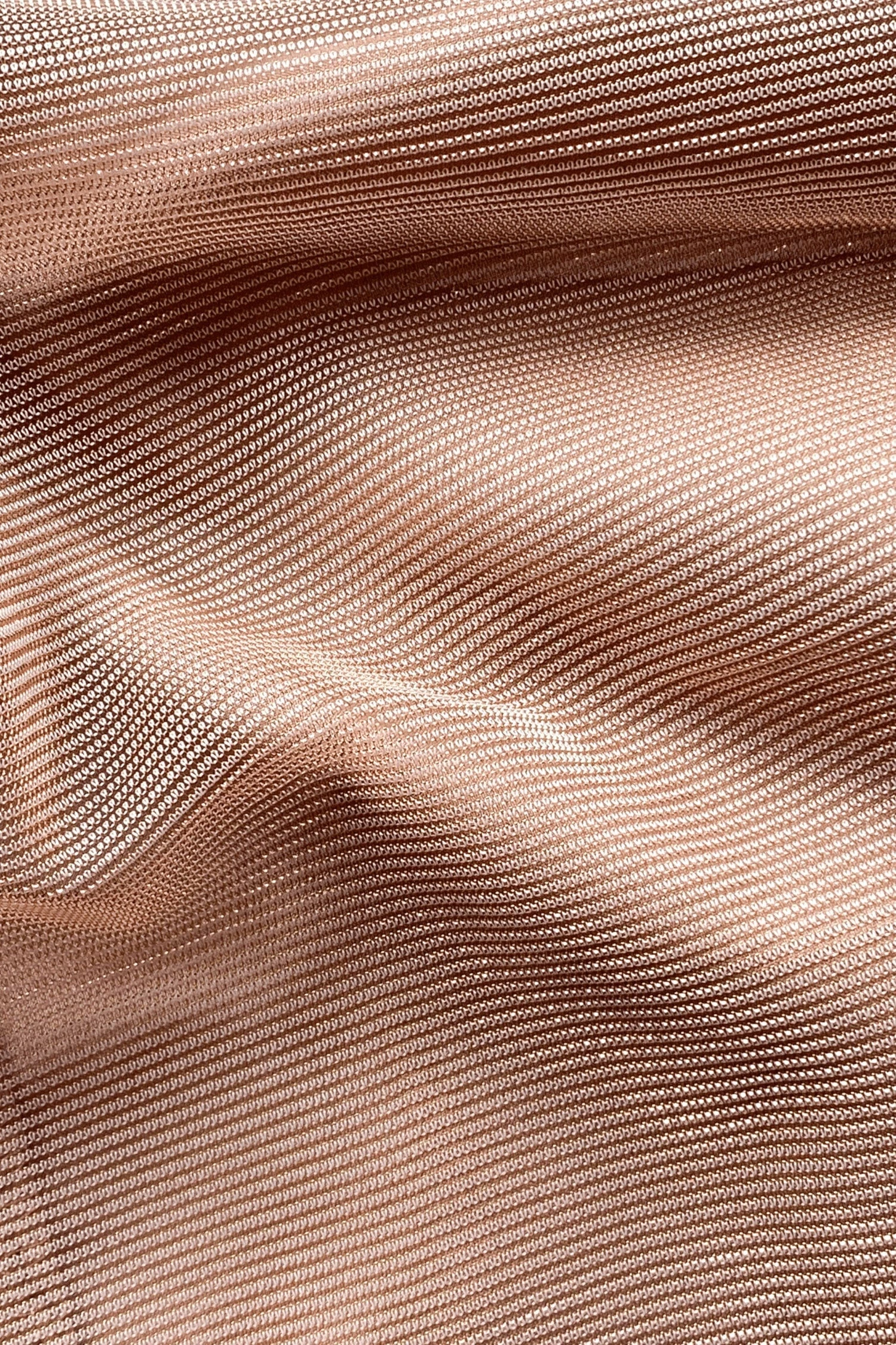 Beatrice 9 Beatrice - Image 7